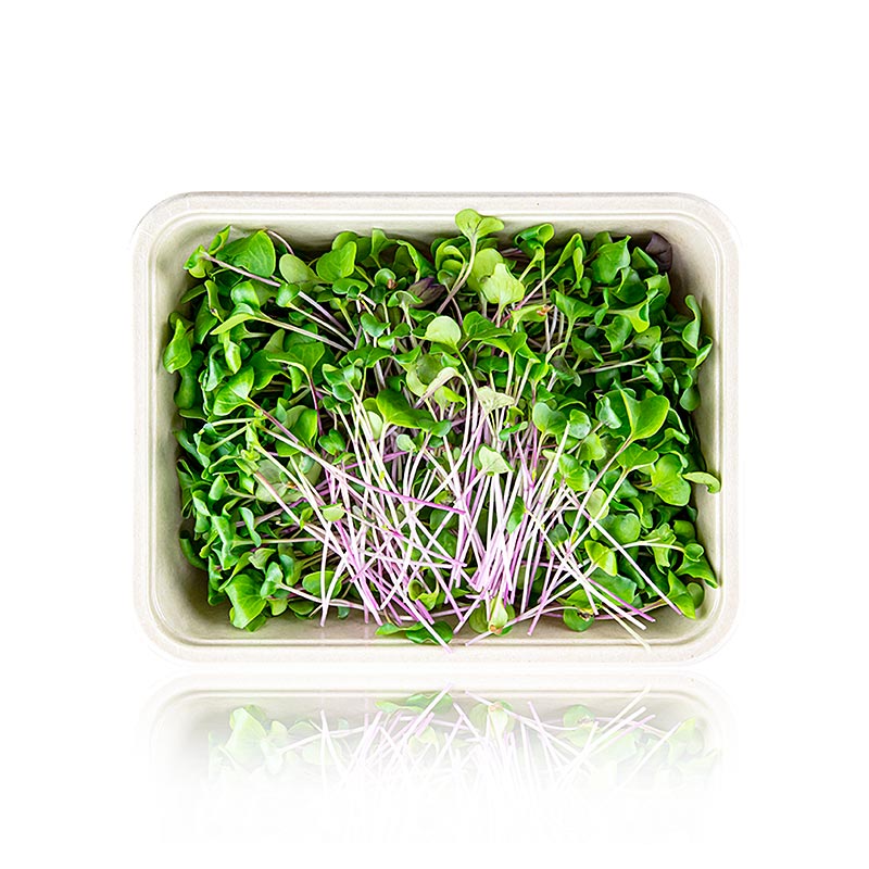 verpakte microgreens radijsjes groen, zeer jonge bladeren / zaailingen - 100 gram - PE-schaal