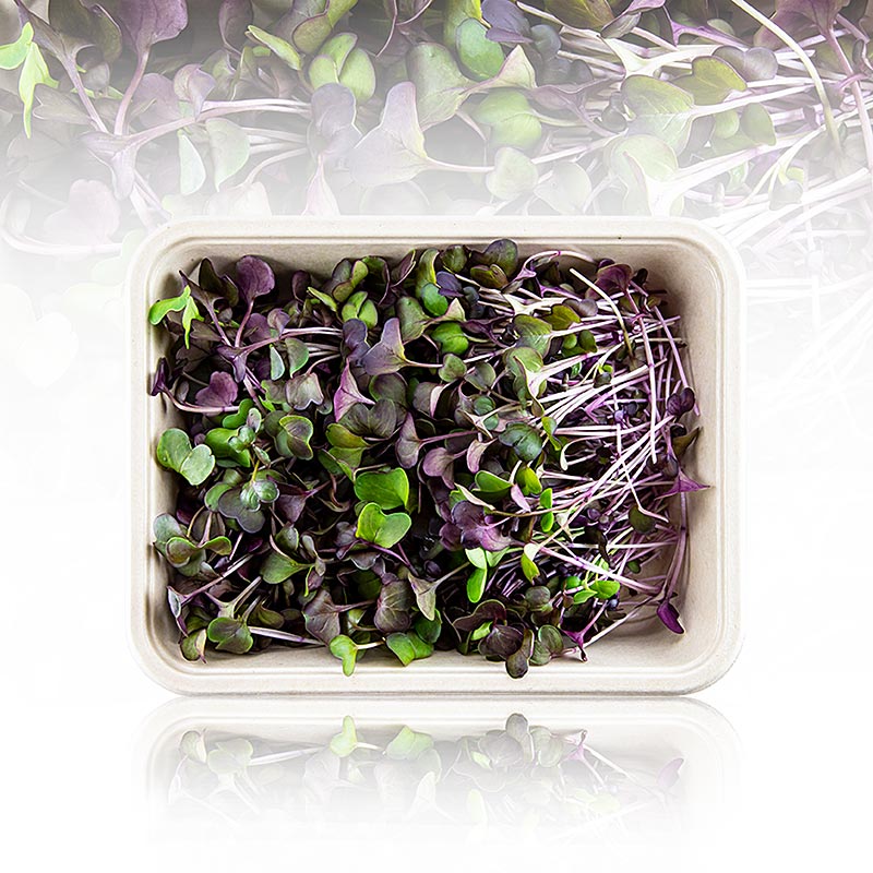 verpakte microgreens rode radijzen, zeer jonge bladeren / zaailingen - 100 gram - PE-schaal