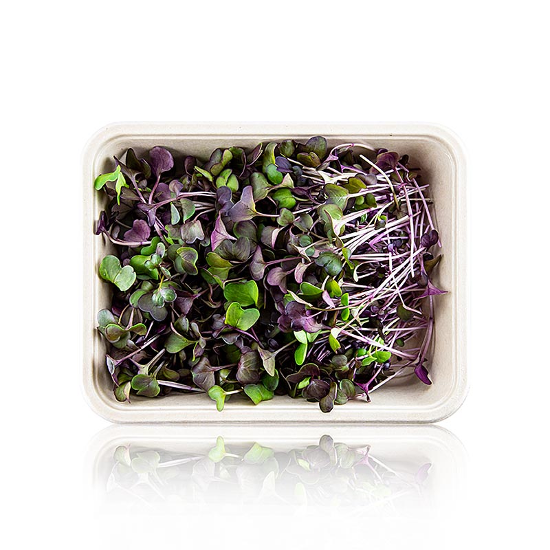 verpakte microgreens rode radijzen, zeer jonge bladeren / zaailingen - 100 gram - PE-schaal