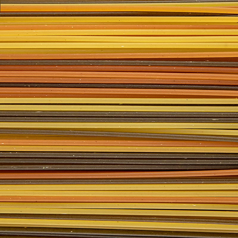 Acolore Fantasia Nudeln Spaghetti Tricolore, Casa Rinaldi - 500 g - Beutel