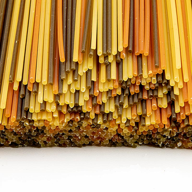 Acolore Fantasia Nudeln Spaghetti Tricolore, Casa Rinaldi - 500 g - Beutel