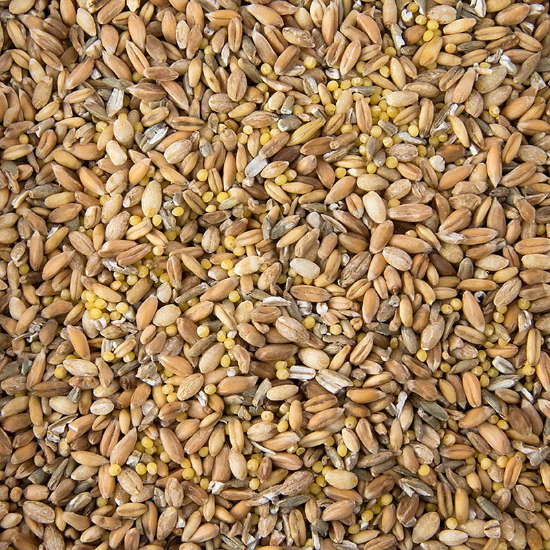 6 kornblandinger (hvede, rug, spelt, havre, hirse, byg) - 1 kg - taske