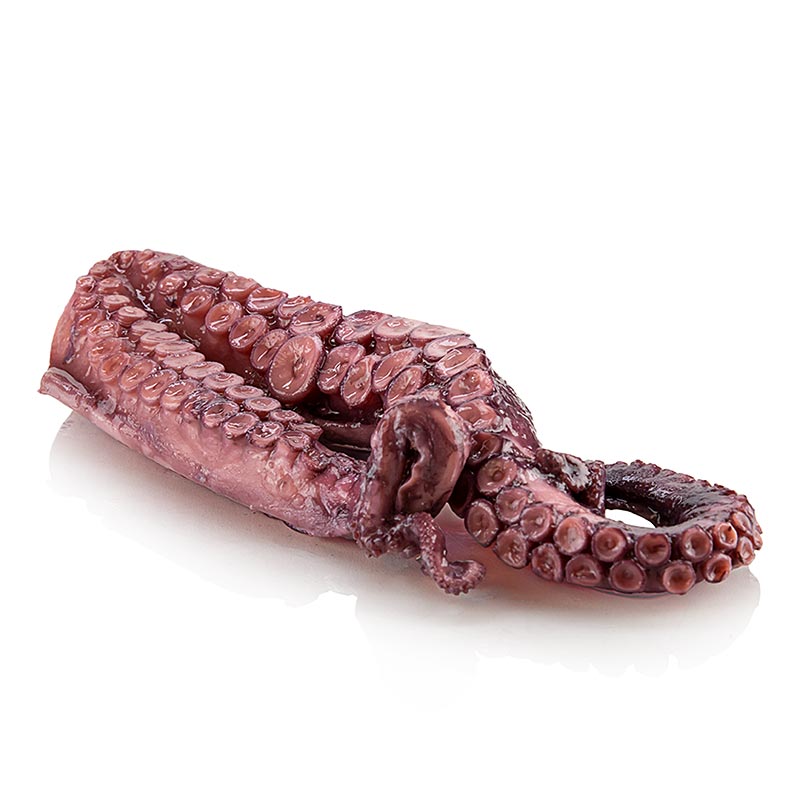 Octopusarmen (pulpo), voorgegaard - ca. 350 g, 2 stuks - vacuüm