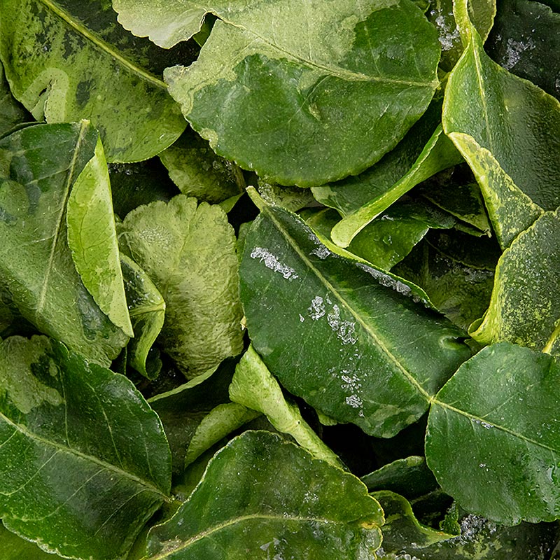 Lime leaves/ Rangpur leaves - 250 g - bag