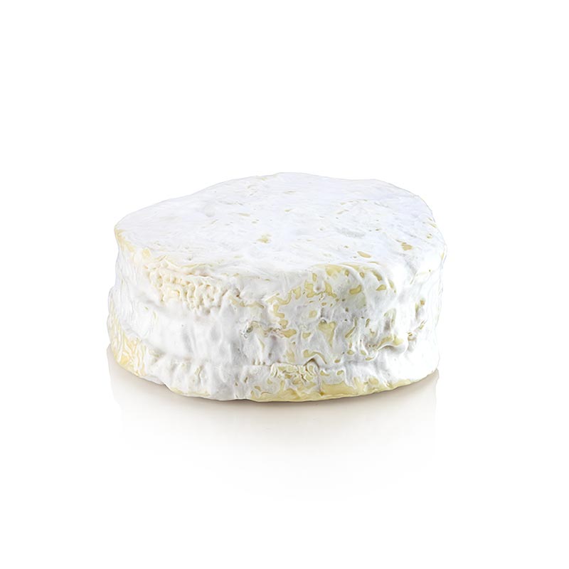 Brillat Savarin Käse, aux Truffes, franz. Käse, Kuhmilch, Käse Kober - 600 g - Vakuum Brillat Savarin Käse, aux Truffes, franz. Käse, Kuhmilch, Käse Kober - 600 g - Vakuum