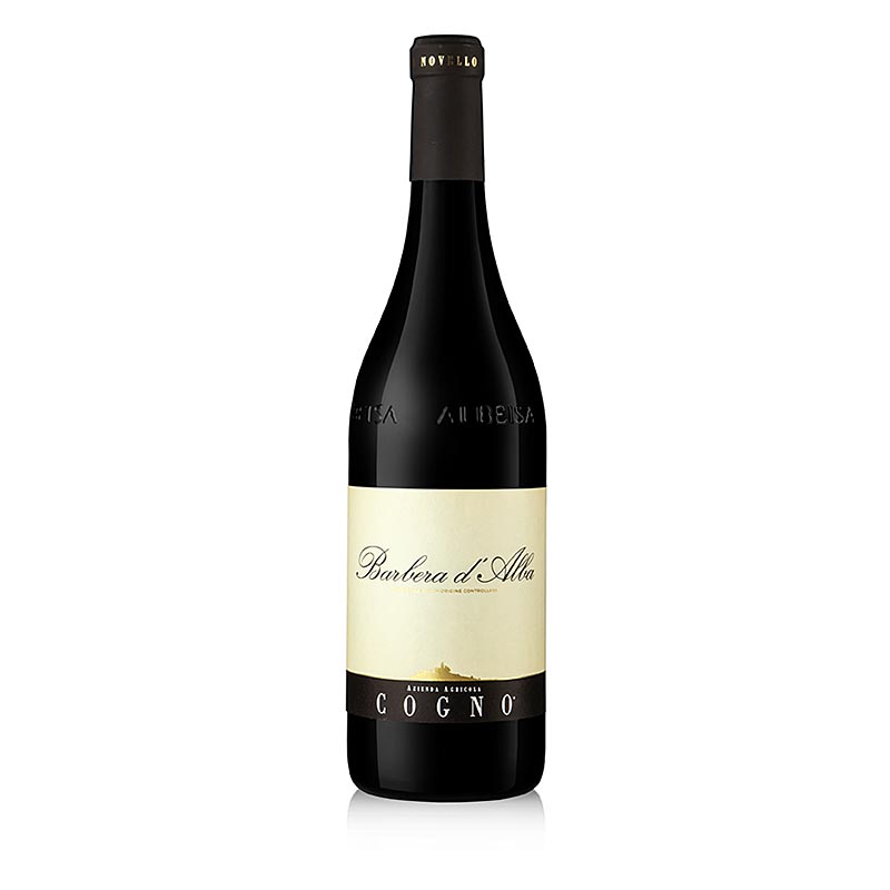 2019er Barbera d`Alba, trocken, 14% vol., Elvio Cogno - 750 ml - Flasche 2019er Barbera d`Alba, trocken, 14% vol., Elvio Cogno - 750 ml - Flasche