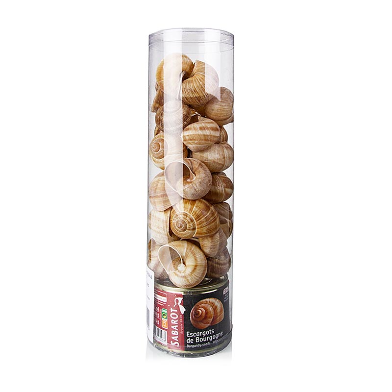 Schnecken Set - Helix Pomatia, 24 Stück + 24 Schneckenhäuser - 200 g, 24 Stück - Dose