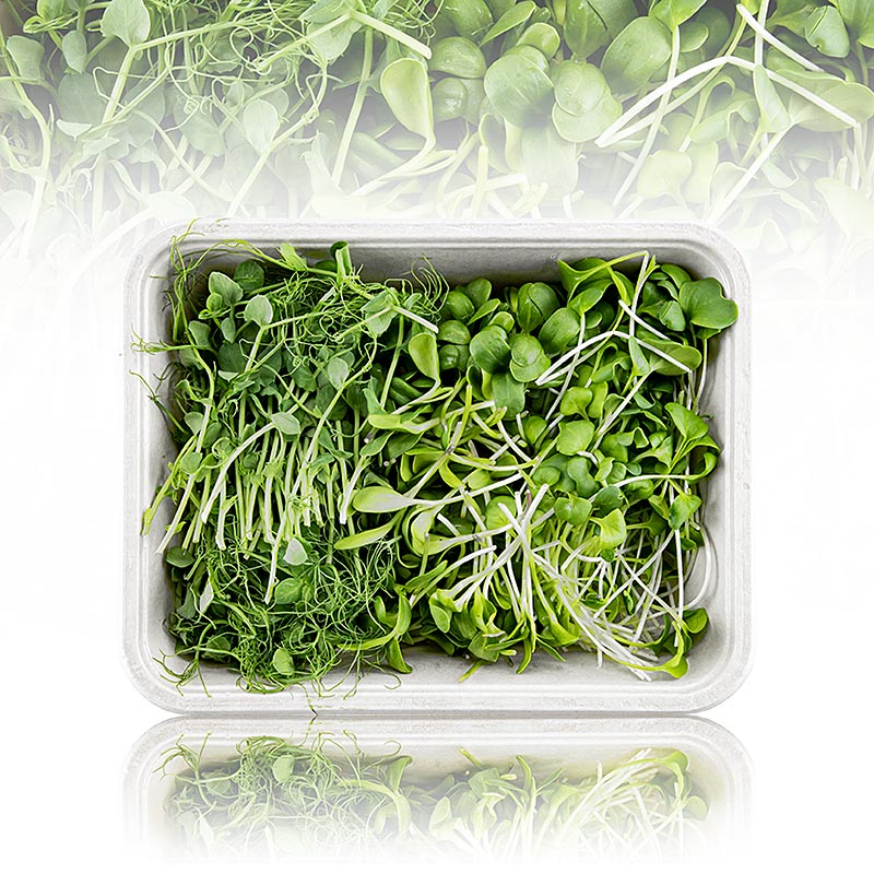 vollgepackt Microgreens MIX MiniGreenBox, 3 Sorten ganz junge Blätter / Keimlinge - 90 g, 3 x 30g - Pe-schale vollgepackt Microgreens MIX MiniGreenBox, 3 Sorten ganz junge Blätter / Keimlinge - 90 g, 3 x 30g - Pe-schale