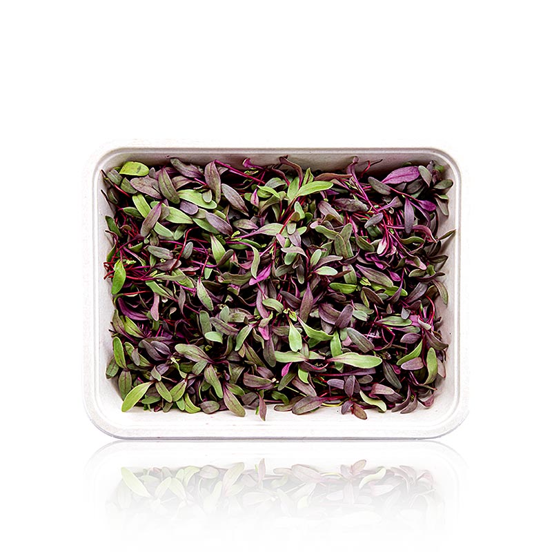 vollgepackt Microgreens Rote Beete, ganz junge Blätter / Keimlinge - 75 g - Pe-schale