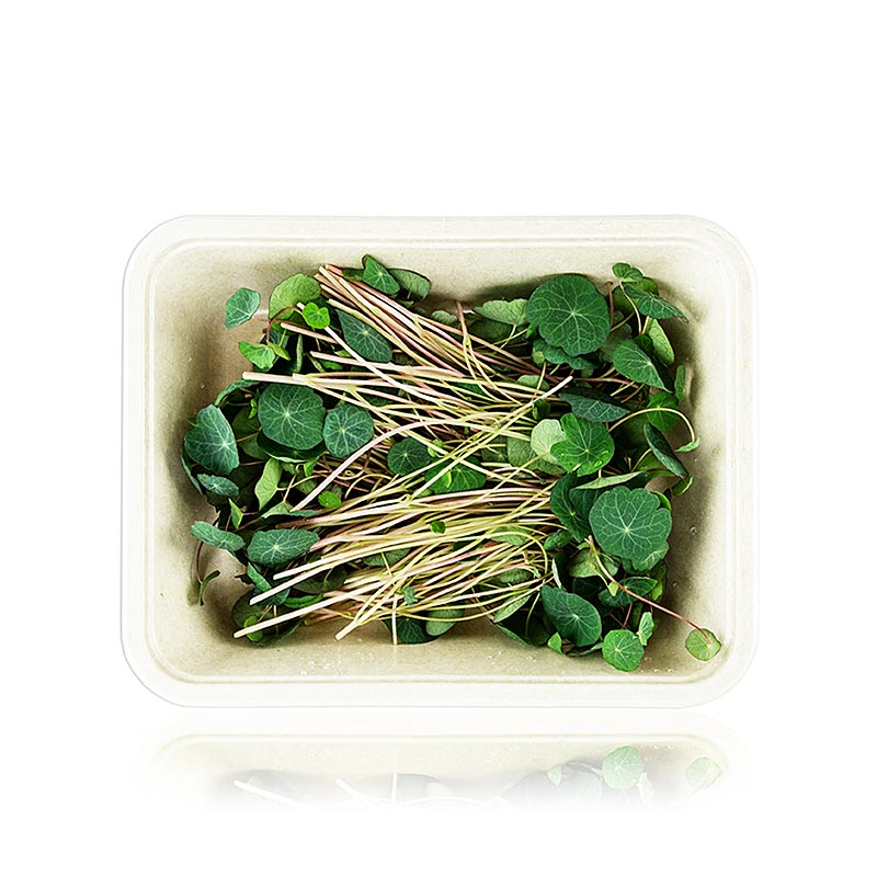 Packed with Microgreens Nasturtium Greens, very young leaves / seedlings - 50g - PE shell