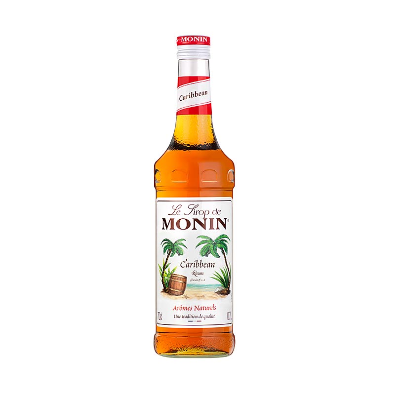 https://www.gourmet-versand.com/img_article_v3/183645-rhum-des-caraibes-monin-sans-alcool.jpg