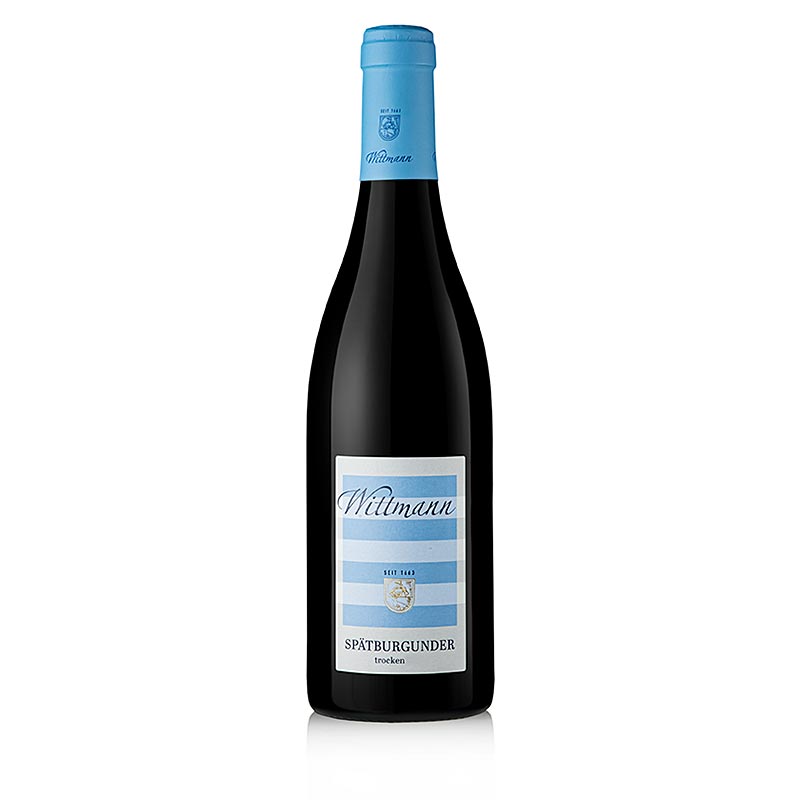 2020er Spätburgunder, trocken, 13% vol., Wittmann, BIO - 750 ml - Flasche 2020er Spätburgunder, trocken, 13% vol., Wittmann, BIO - 750 ml - Flasche