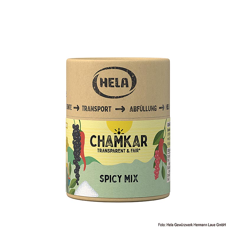 HELA Chamkar - Mélange Épicé, Sel Épicé - 115g - boîte à arômes