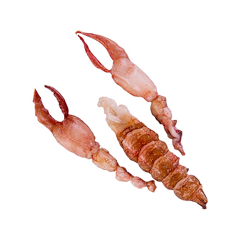 Chair de homard breton, crue, de queue + 2 pinces, grosse, rougie - environ 200g - vide