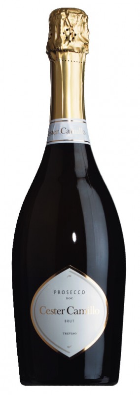 Prosecco DOC Brut Treviso, sparkling wine, Cester Camillo - 0.75L - Bottle