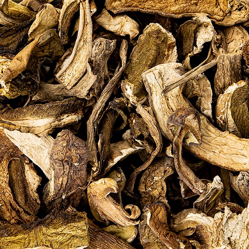 Dried porcini mushrooms (Cepes/Porcini), Plantin - 1 kg - Pe can