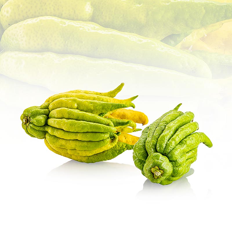 Buddhas Hand, Fingerzitrone (Zitronat), frisch - ca.1,1 kg, 1 Stück - Lose