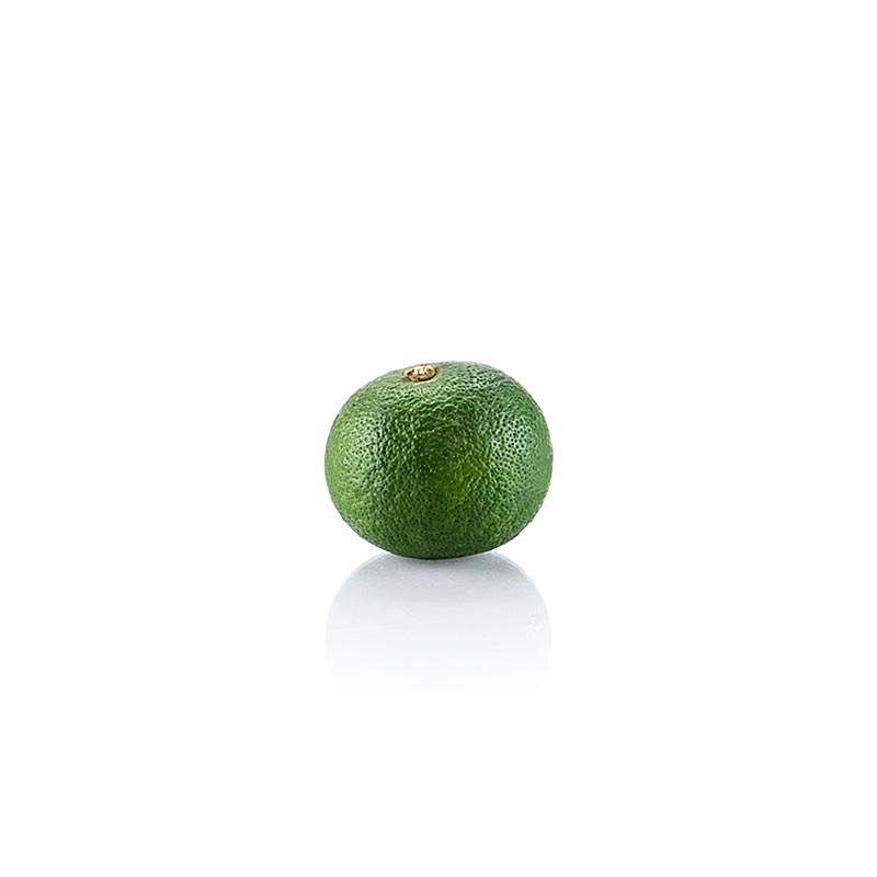 Sudachi, grüne saure Zitrusfrucht, frisch - ca.20 g - Lose
