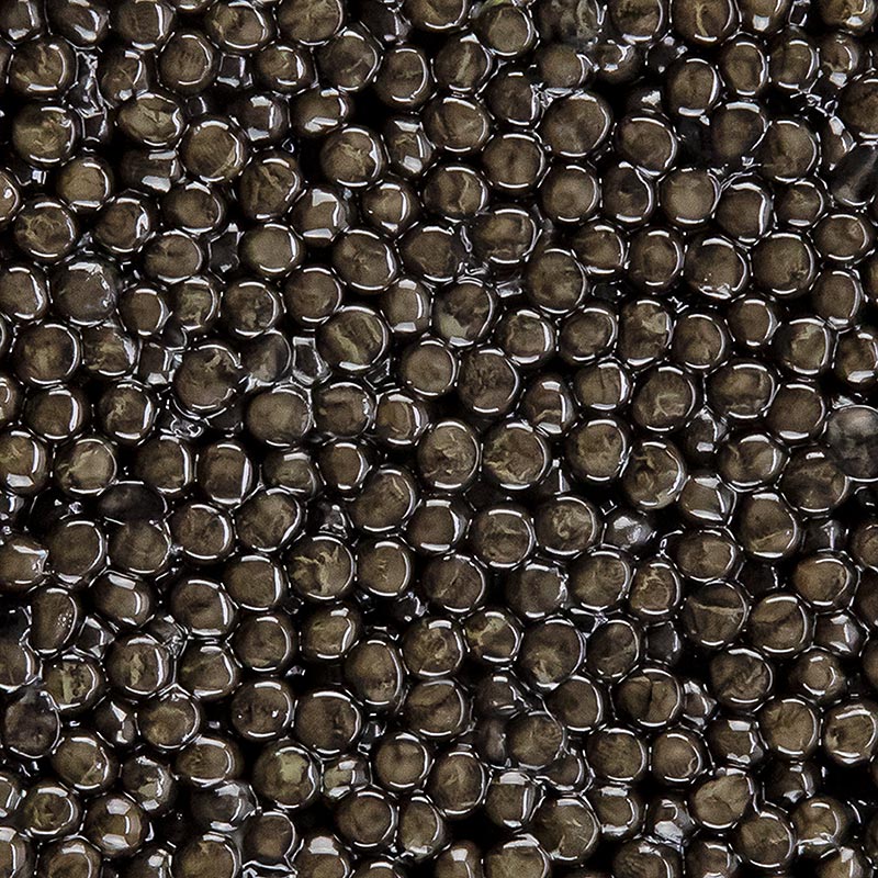 Caviar Desietra Baeriskaya (baerii), aquicultura, sem conservantes - 50g - latas