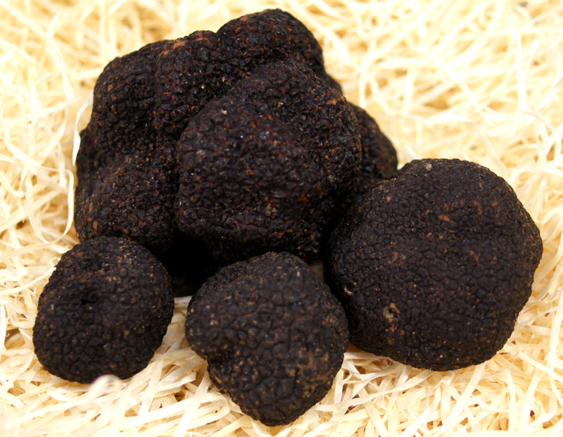 Vetrartrufflur - Finar trufflur nybakadhar fra Italiu, Tuber melanosporum, hnydhi fra u.th.b. 30 g, fra desember til mars (DAGLEG VERD) - a grammi - -