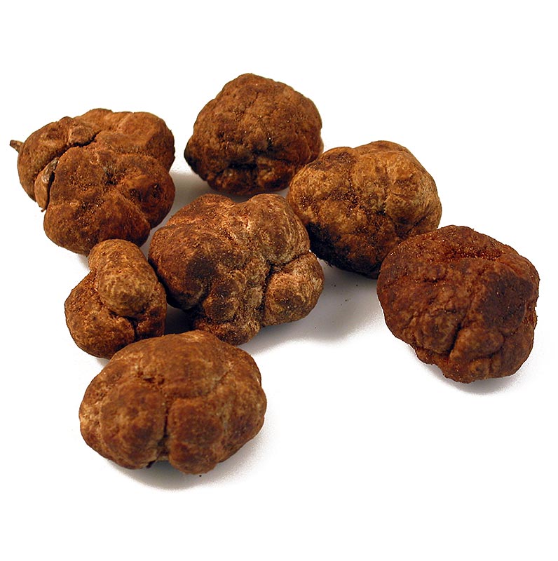 Truffle Bianchetti truffle ekstra, truffle musim semi putih, umbi oligospermum dari Maroko, dari Februari hingga April (truffle dekorasi yang dapat dimakan) (HARGA HARIAN) - per gram - -