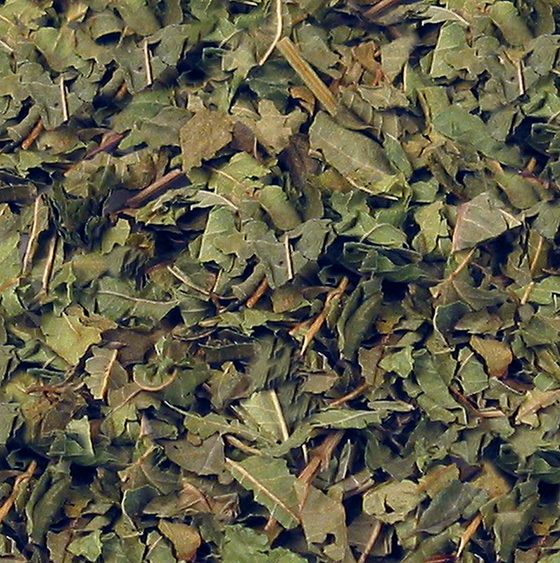 Verbena limao / erva limao (falsa verbena / verveina), cortada - 100g - Bolsa