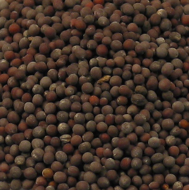 Semillas de mostaza, oscuras - 100 gramos - bolsa
