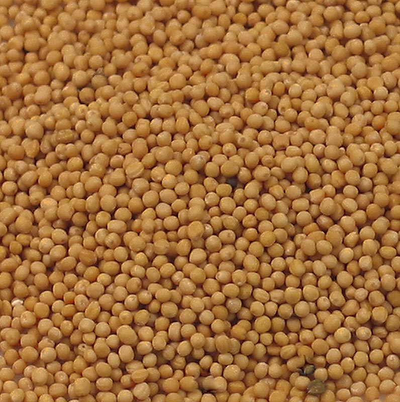 Semillas de mostaza, ligeras - 1 kg - bolsa