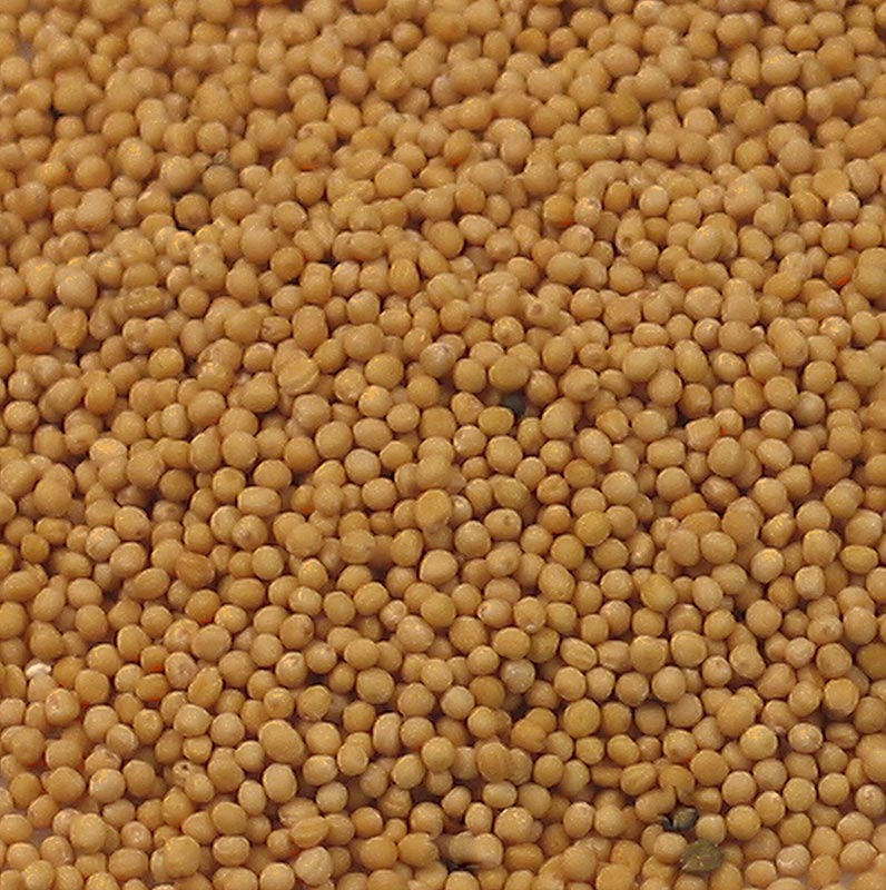 Biji sawi, ringan - 1 kg - beg Biji sawi, ringan - 1 kg - beg