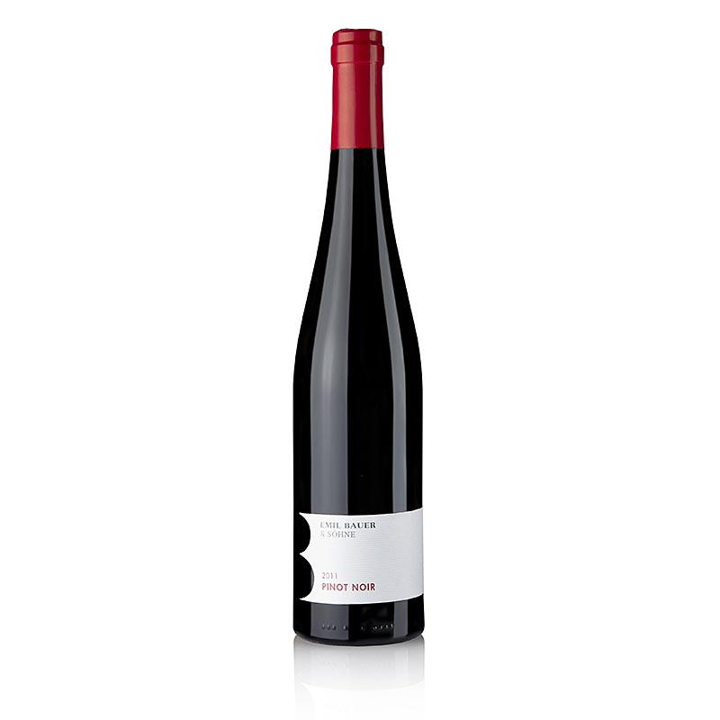 2011er B, Pinot Noir, trocken, 13,5% vol., Emil Bauer Söhne - 750 ml - Flasche 2011er B, Pinot Noir, trocken, 13,5% vol., Emil Bauer Söhne - 750 ml - Flasche