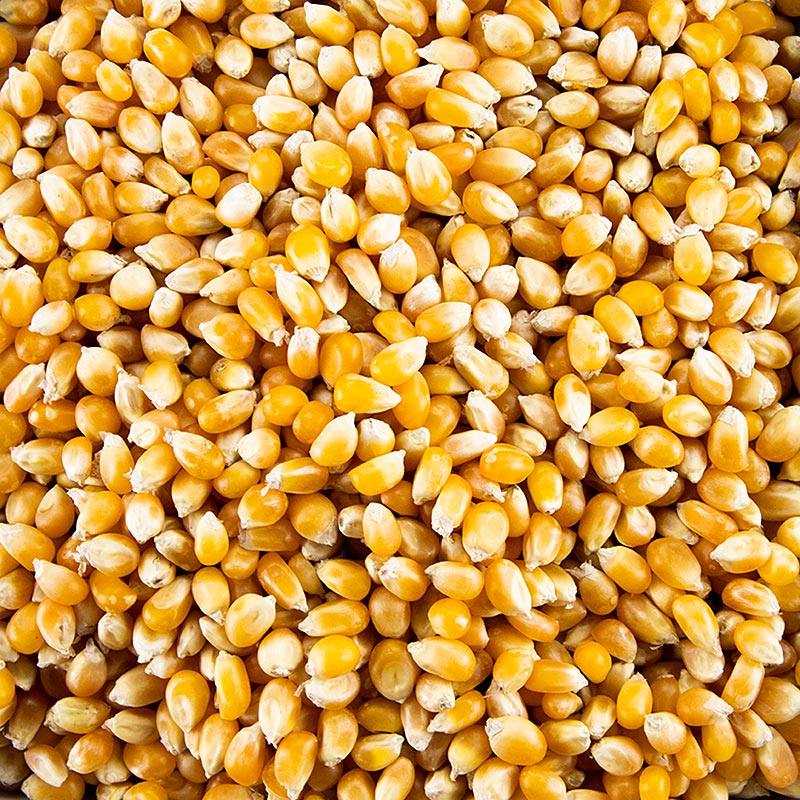Pop corn, biologico - 1 kg - borsa