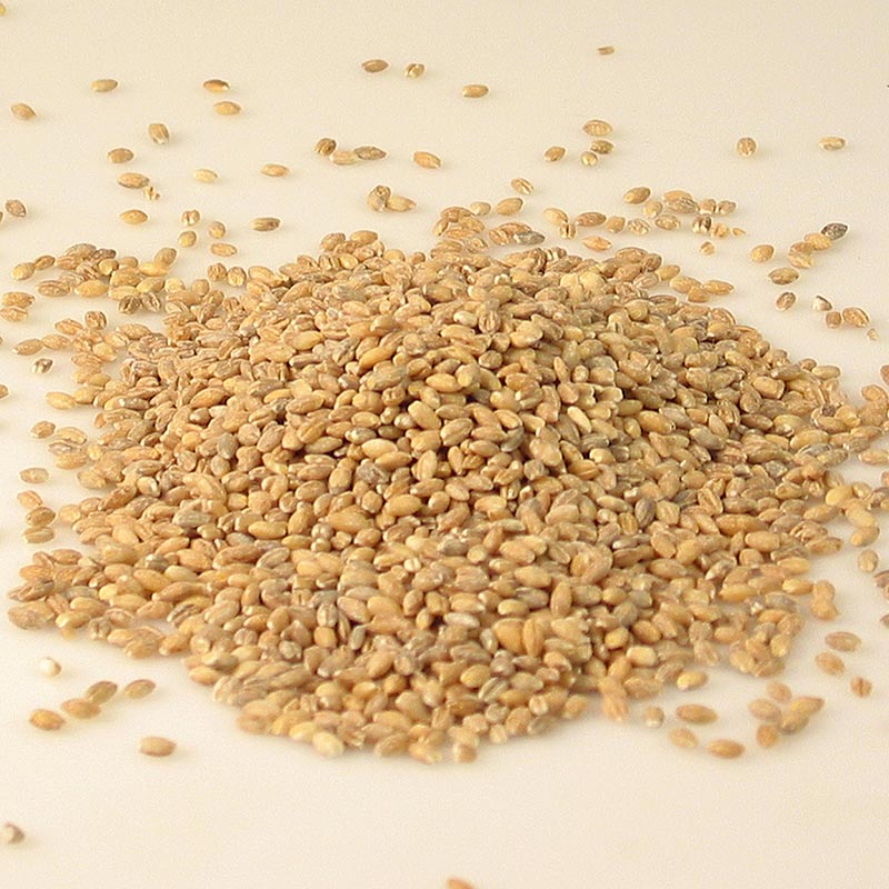 Jelai mutiara (ice barley), kasar - 1kg - tas