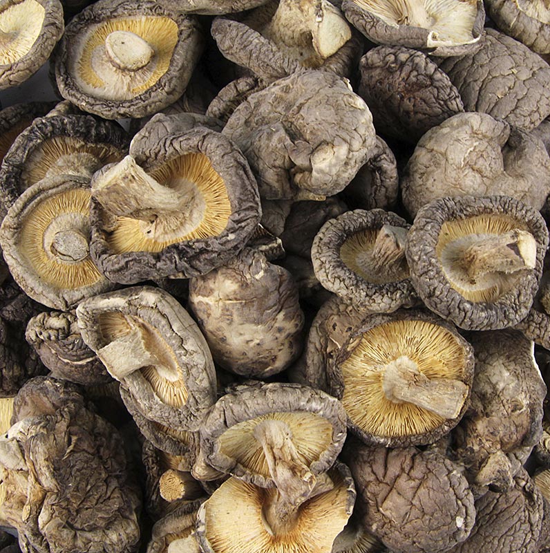 Setas shiitake, Tongu, calibracion pequena Ø 3 cm, Zhong-Hon-Gu - 1 kg - bolsa