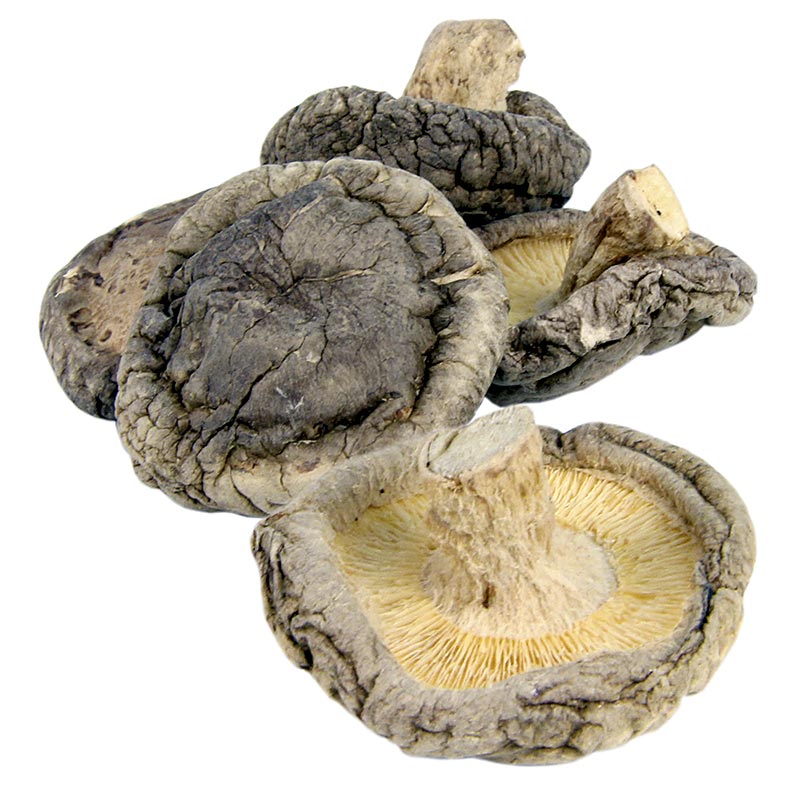 Cogumelos Shiitake, Tongu, pequena calibracao Ø 3cm, Zhong-Hon-Gu - 1 kg - bolsa