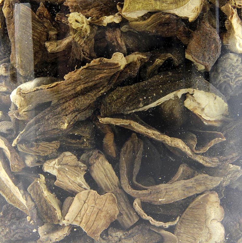 Porcini svampar - Cepes, Plantin - 50 g - Pe kan