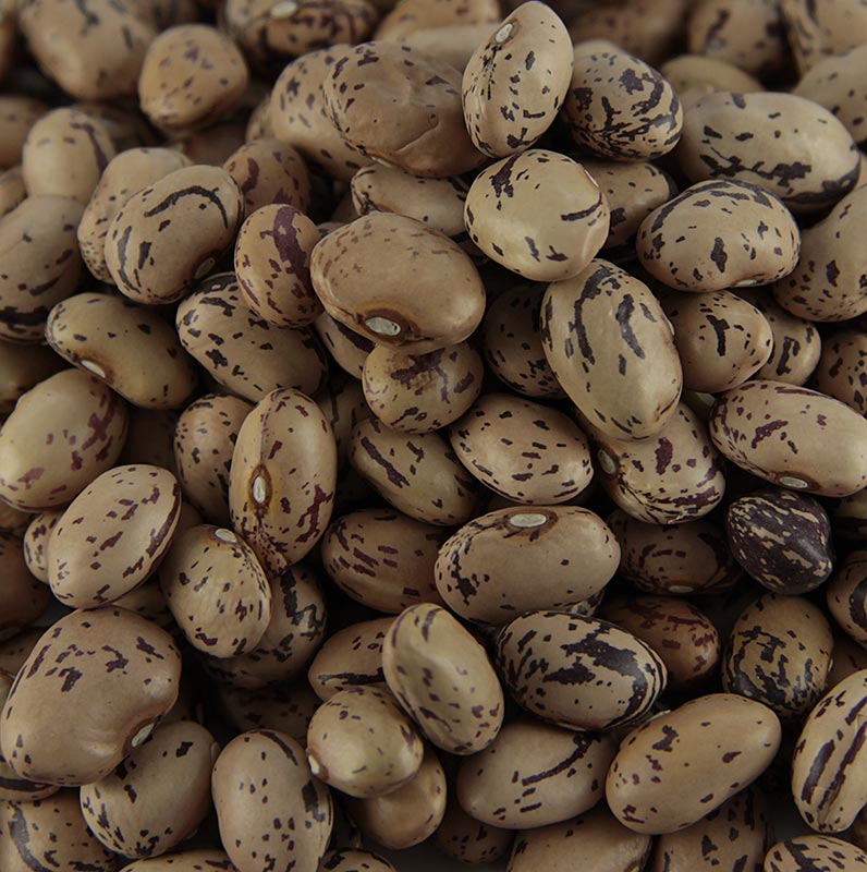 Kacang, Borlotti - kacang puyuh, kecil, kering - 500g - beg
