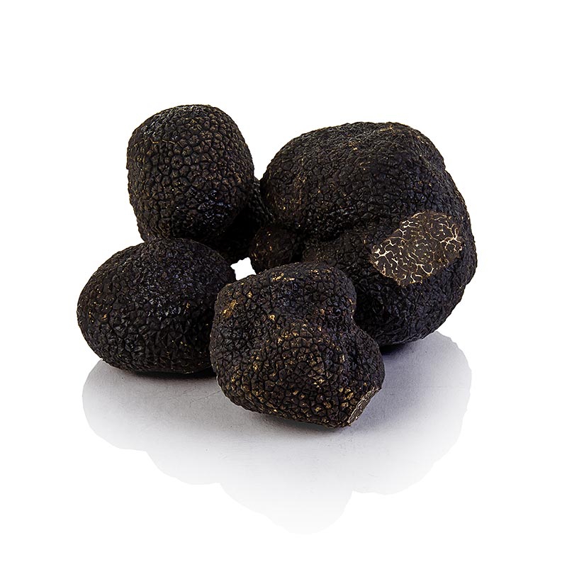 Trufa Trufa noble de invierno - tuber melanosporum EXTRA, fresca, procedente de Australia, tuberculos a partir de 30 g aproximadamente, disponible de junio a agosto (PRECIO DIARIO) - por gramo - -