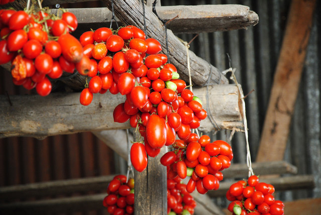 San Marzano, tomates enteros pelados de la variedad San Marzano due, Il pomodoro piu buono del Vesuvio de Campania / Italia - 400g - poder