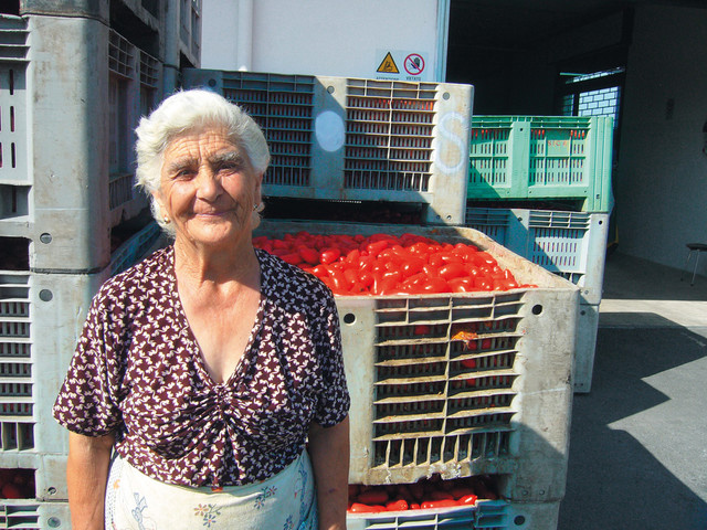 San Marzano, heilir, skraeldir tomatar af San Marzano tegundinni, Il pomodoro piu buono del Vesuvio fra Kampaniu / Italiu - 400g - dos