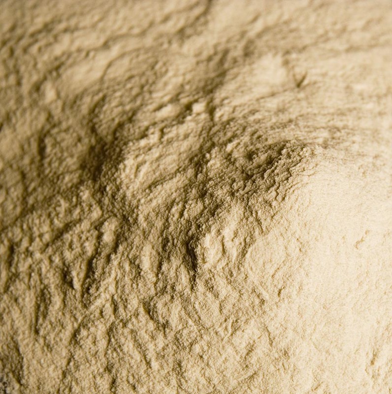 Alginato di sodio - polvere per uso alimentare, E 401 - 100 grammi - borsa