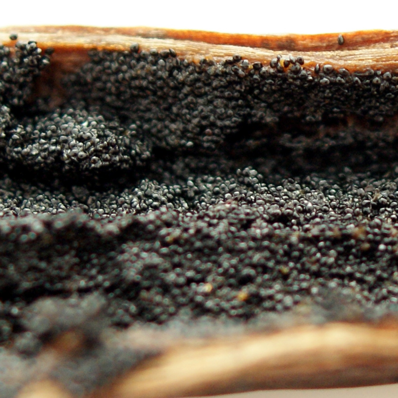 Bourbon vaniljatankoja Madagaskarilta, 1 palo - 1 kpl / n. 3,5 g - Laukku