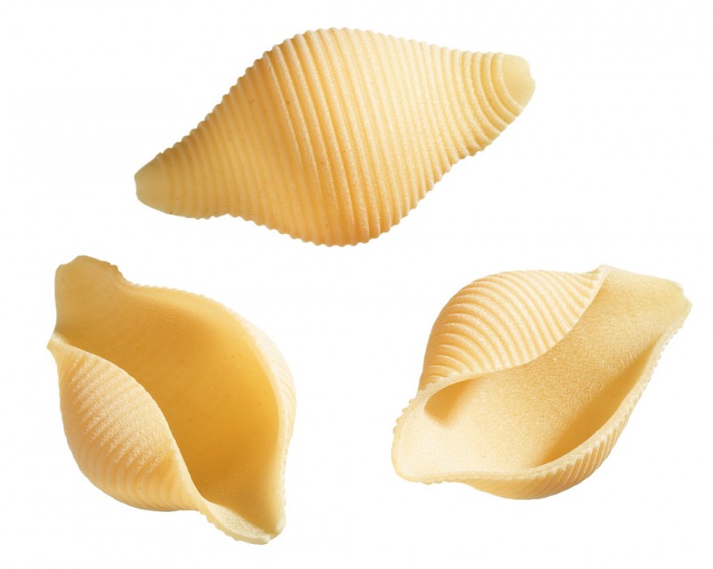 Conchiglioni, pasta di semola di grano duro, Rustichella - 500 g - pacchetto