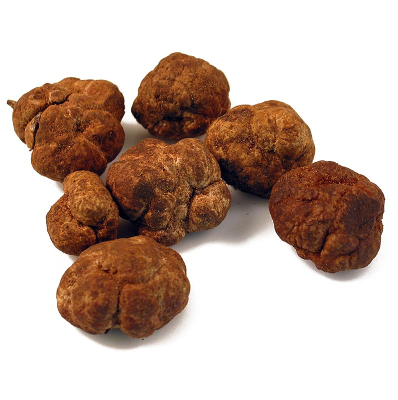 Trüffel Bianchetti-Trüffel extra, weißer Frühlingstrüffel, tuber oligospermum aus Marokko, von Februar bis April (essbarer Dekorationstrüffel) (TAGESPREIS) - pro Gramm - - Trüffel Bianchetti-Trüffel extra, weißer Frühlingstrüffel, tuber oligospermum aus Marokko, von Februar bis April (essbarer Dekorationstrüffel) (TAGESPREIS) - pro Gramm - -