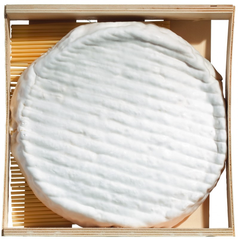 Brie Le Delice de Rougemont, queijo macio de leite de vaca cru com casca de mofo branco, Michel Beroud - aproximadamente 1,2 kg - Pedaco