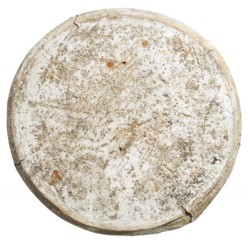 Fontal, queso de leche de vaca, maduracion media, Caseificio Carena - aproximadamente 12,5 kg - Pedazo