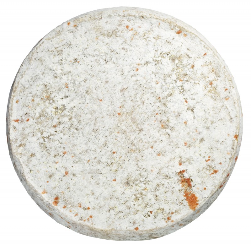 Tomme de Montagne, halvhard ost laget av kumelk med muggskall, Alain Michel - ca 5,5 kg - Stykke