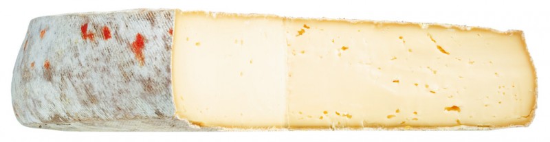 Tomme de Montagne, halvhard ost gjord pa komjolk med mogelskal, Alain Michel - ca 5,5 kg - Bit