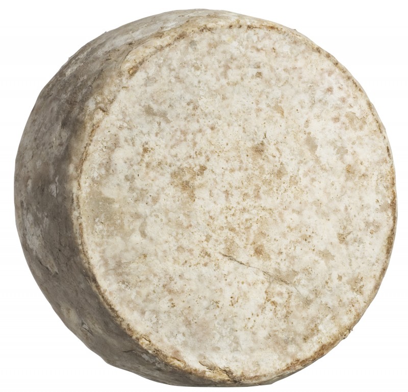 Tomme de Savoie AOC, queijo de leite de vaca cru com casca mofada, Alain Michel - aproximadamente 1,5 kg - Pedaco Tomme de Savoie AOC, queijo de leite de vaca cru com casca mofada, Alain Michel - aproximadamente 1,5 kg - Pedaco