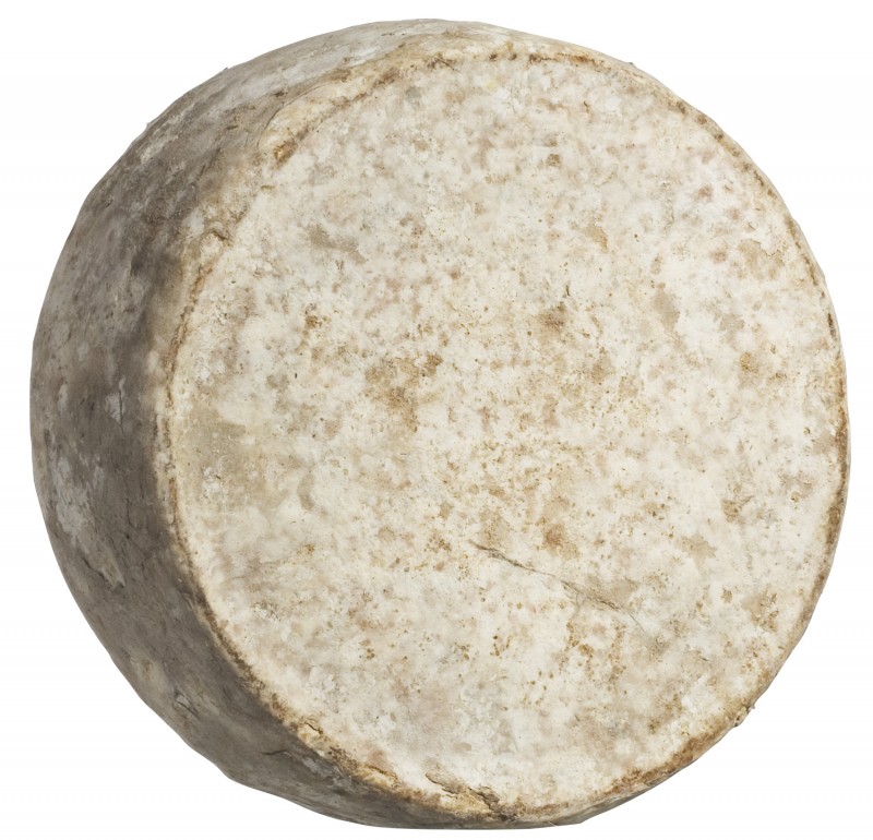 Tomme de Savoie AOC, keju susu sapi mentah dengan kulit cetakan, Alain Michel - sekitar 1,5kg - Bagian