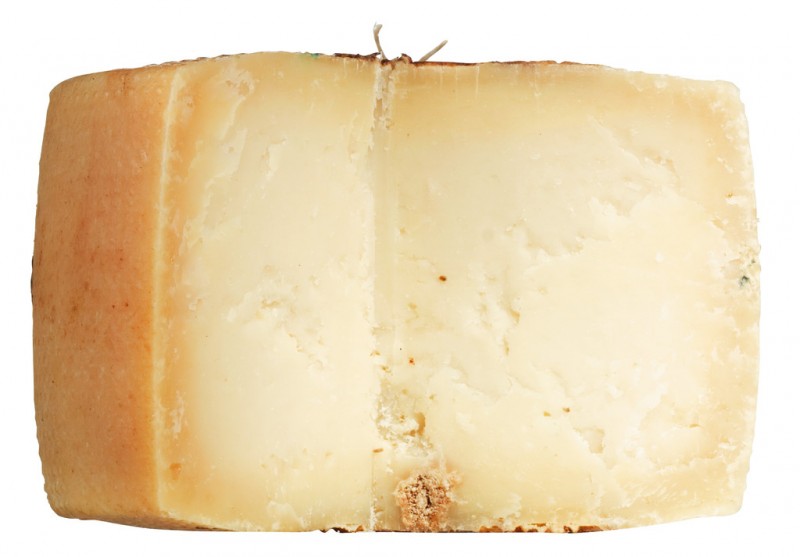 Caprotto, queijo de cabra curado em caverna, roda inteira, Casa Madaio - aproximadamente 2,4 kg - Pedaco